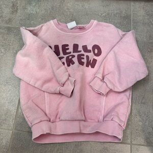 Zara Pink Crew Neck Sweatshirt